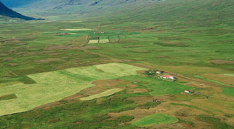Lynghóll