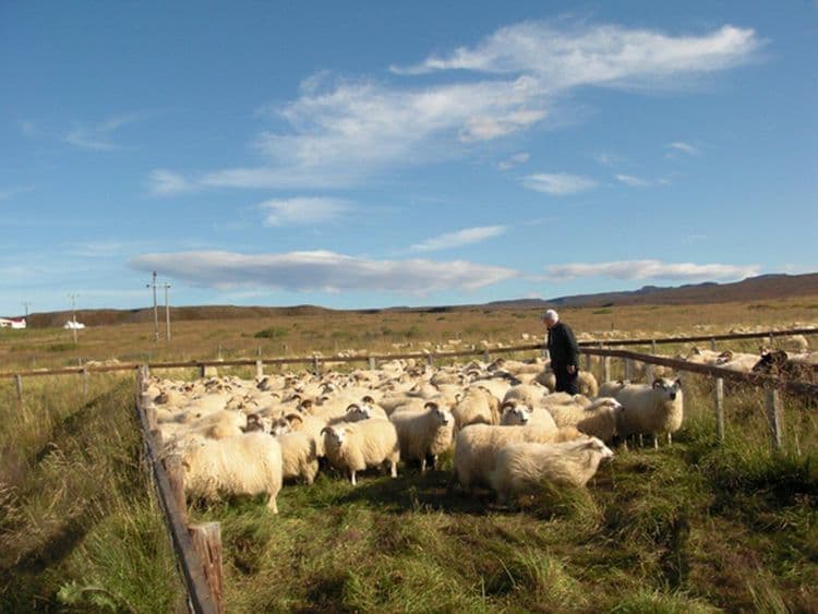 Skarðaborg