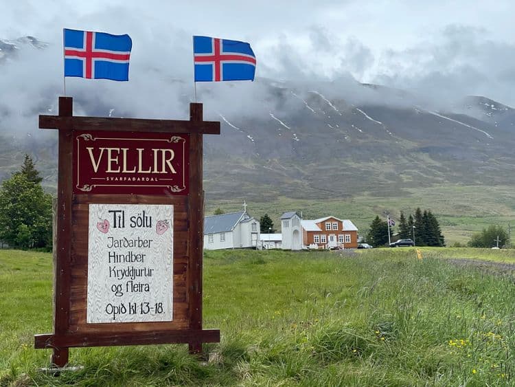 Vellir