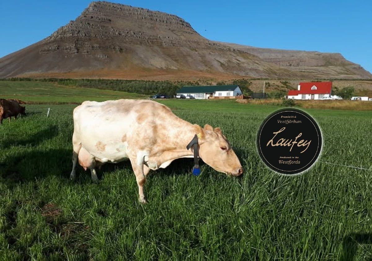Uploaded image: Ronja með logoi.jpg